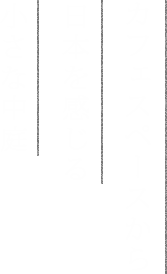 カフェスペースから日本を感じる小さな中庭